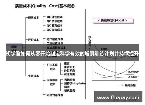 初学者如何从零开始制定科学有效的增肌训练计划并持续提升