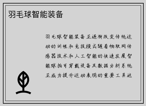 羽毛球智能装备